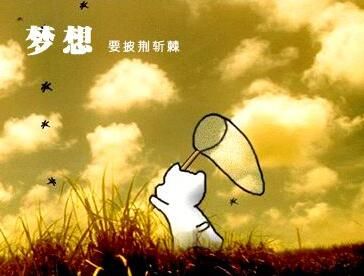 網(wǎng)站運(yùn)營(yíng)的意義在于客戶！